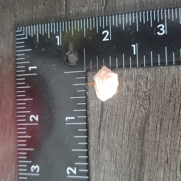 Delicate Petals Rose Earrings In Blush E1018 - Picture 2 of 2